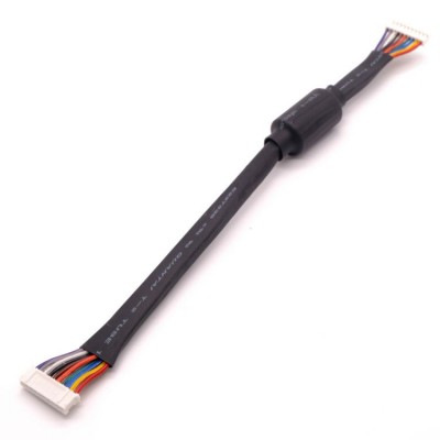 Ph2.0 10pin Flat Cable Connectors Wire To Wire Extension Cable Male Assembly For Lcd Screen